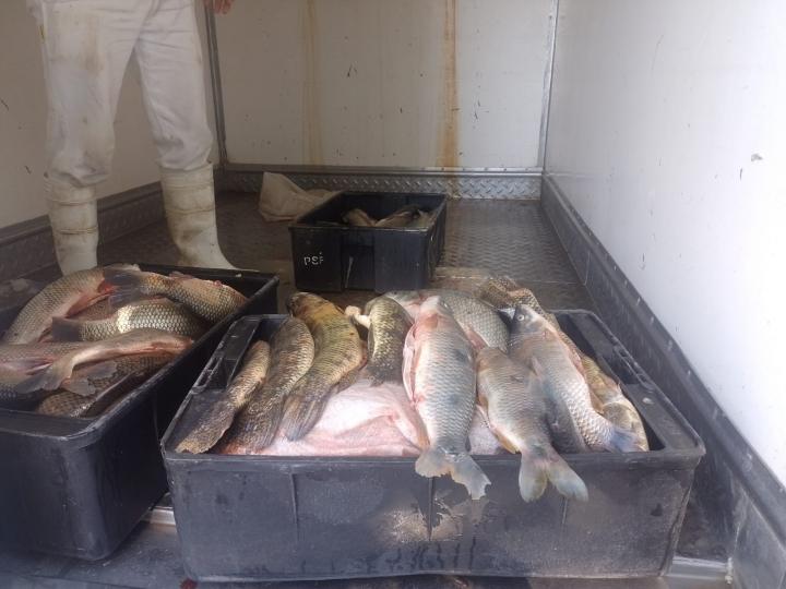 Secuestro de arma de fuego y decomiso de especies iticolas