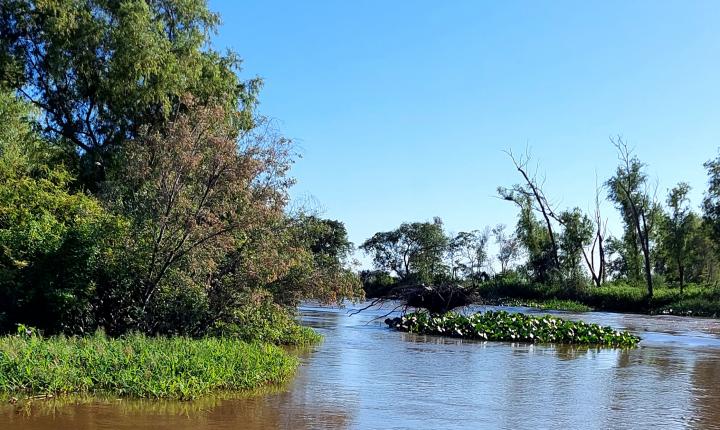 Col. San José: pescaba en 