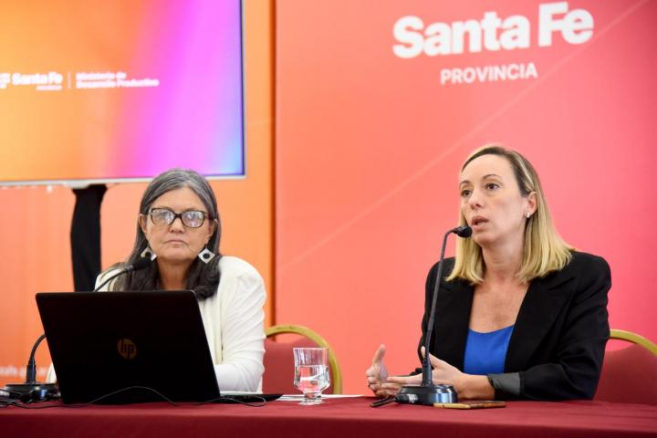 Ghilotti: “La quita de subsidios al transporte aumenta la desigualdad”