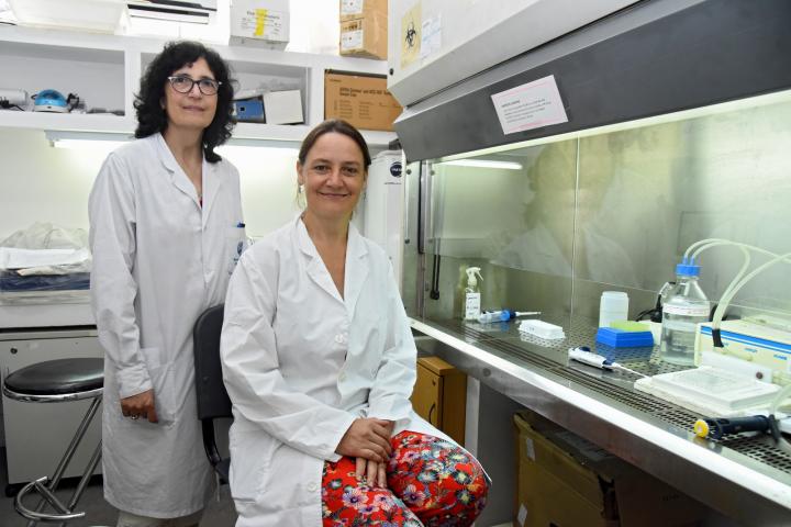 La Encefalitis Equina del Oeste se podrá detectar en laboratorios públicos de la Provincia