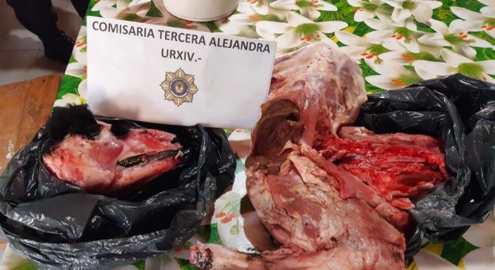 Alejandra: Hombre de 31 años, acusado de robar una cocina y carnear ovejas 