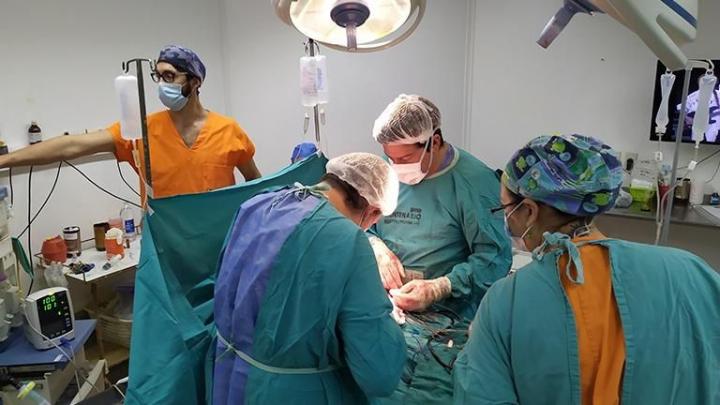 Profesionales de la salud