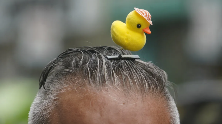 ¿Porqué esta de moda usar los patitos en la cabeza?