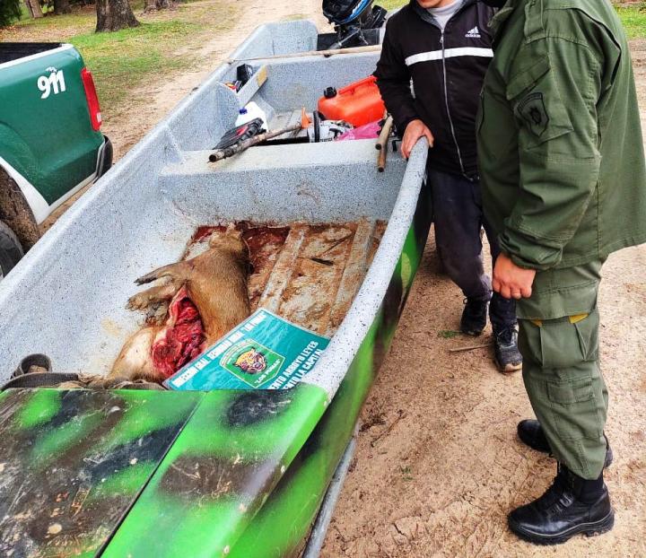Los Pumas realizaron procedimientos por delitos contra la fauna regional 