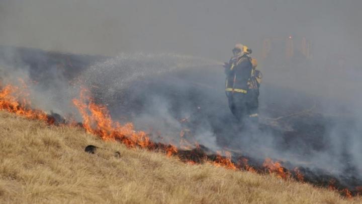 Quema en las islas: Santa Fe y Entre Ríos buscan acordar un plan común para el control de fuego