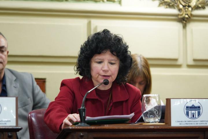 La diputada libertaria Silvia Malfesi impulsa una iniciativa para derogar el “Régimen Legal para Grandes Superficies”