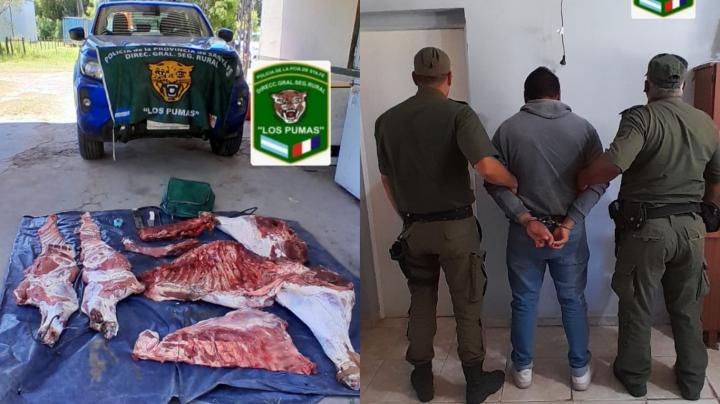 Colonia Teresa: Los Pumas de San Javier con otro procedimiento por abigeato 