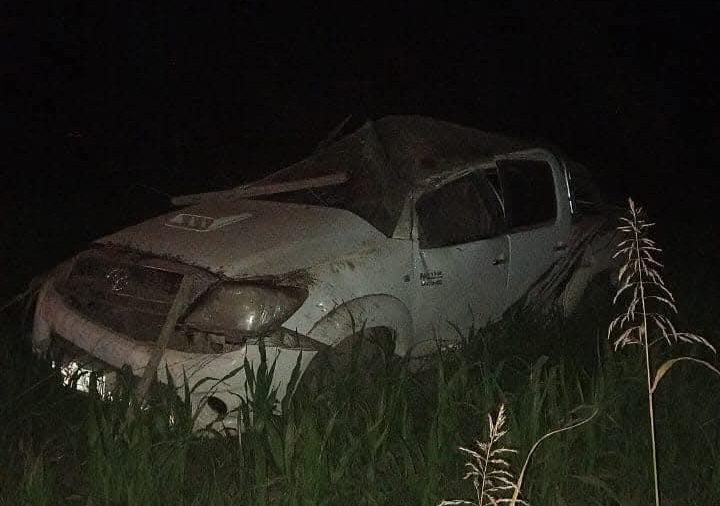 Colonia California: quiso esquivar dos perros y terminó volcando