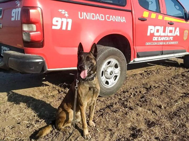 Adiós al perro héroe que se jugó por los santafesinos