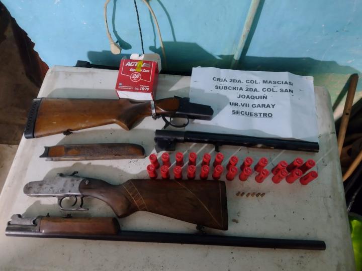 San Joaquín: la policía secuestró armas y plantas de marihuana en allanamiento 