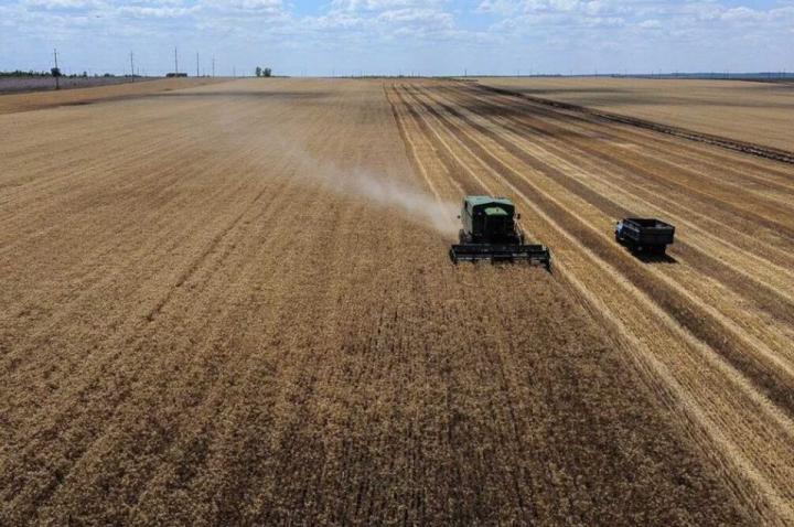 El agro aportaría un 25% más en el primer semestre