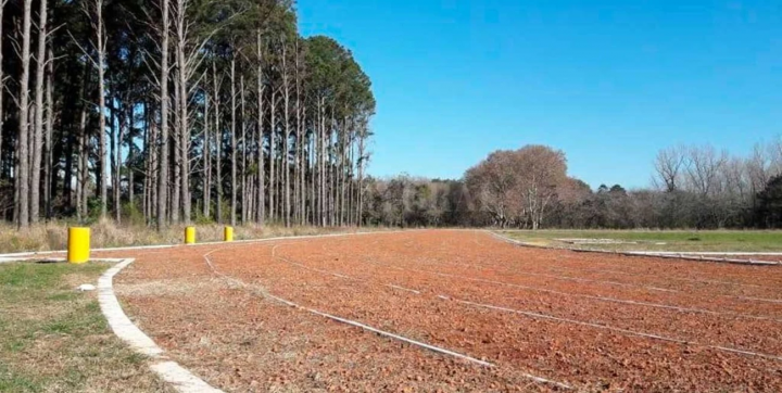 Se detectó presencia de autos y motos sobre la pista de atletismo