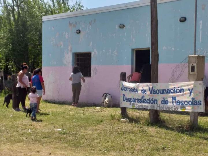 Masiva jornada de vacunación de mascotas en Helvecia 