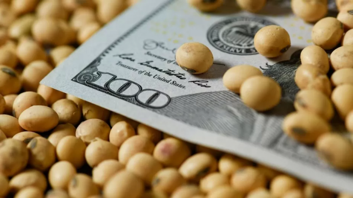 El Gobierno de Milei aplicará retenciones cero para todos los granos hasta fines de octubre