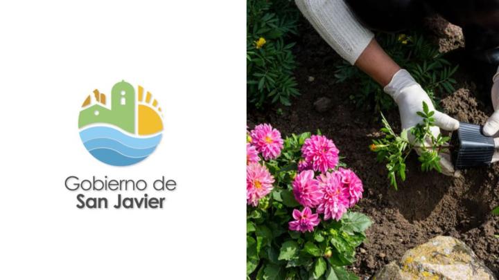 La Municipalidad de San Javier pide a la comunidad cuidar los canteros de la ciudad